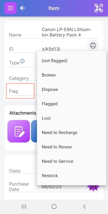 Flag value pulldown clicked on Item Page showing the default flag options of Broken, Dispose, Flagged, Lost, Needs Cleaning, Needs Inspection, Need to Recharge, Need to Renew, Need to Service, and Restock