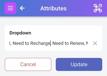 Shows ability to edit the dropdown values for the Flag attribute
