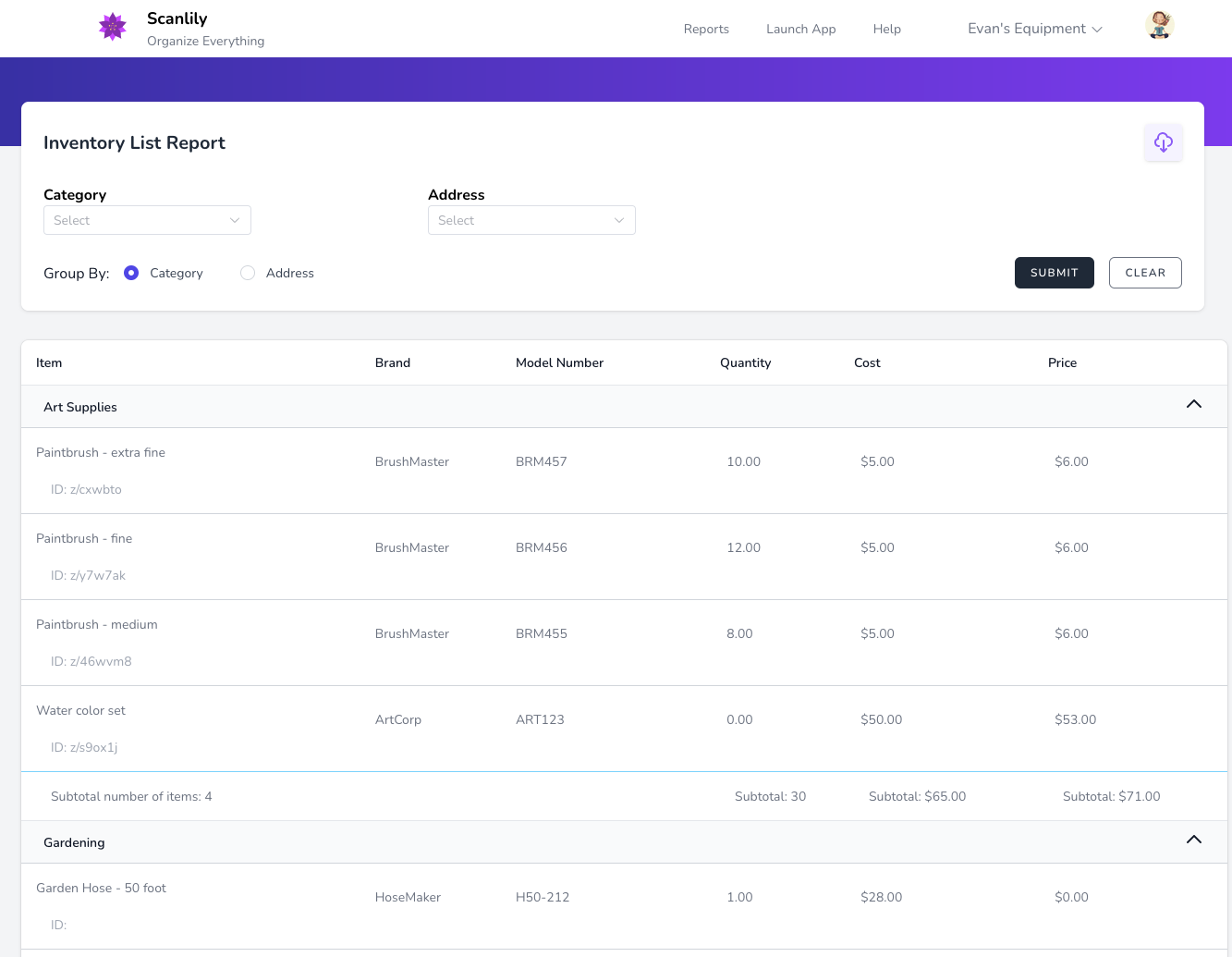 Report showing item details with Group By Category option