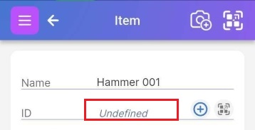The ID section at the top of the Item detail page with the ID undefined