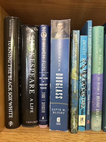 Photo of a bookshelf with multiple books for AI recognition