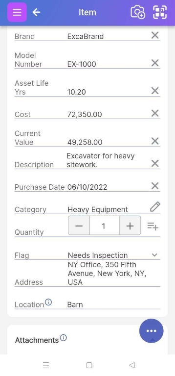 Item page showing various character, number, money, long text, date, quantity, and flag fields