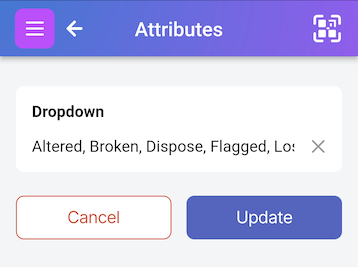 Attribute Edit Page showing list of Flag dropdown values