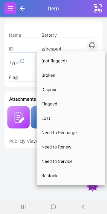 Flag field option pulldown showing