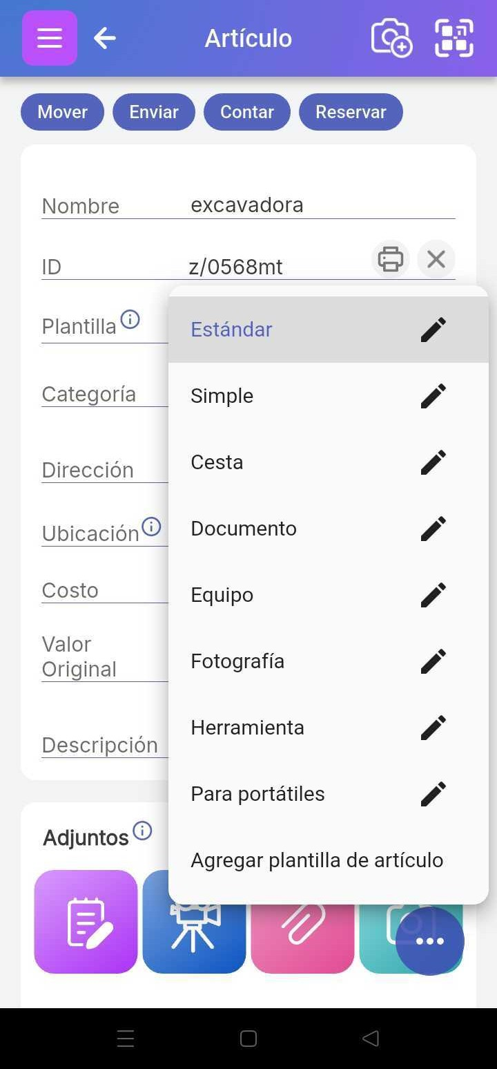 Pantalla de artículo con "Tipo de artículo" seleccionado mostrando la lista de posibles tipos de artículo definidos por el usuario.