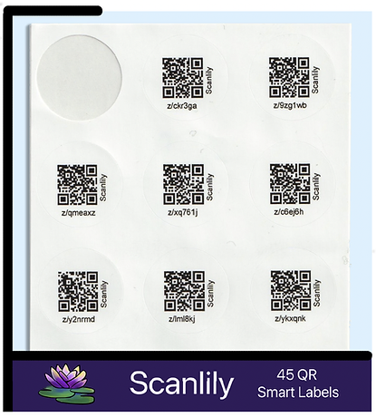 Image of label removed from book