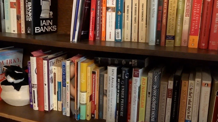 Siobhan's large book collection