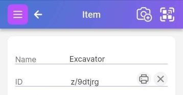 Item page showing various attribute fields including Name, ID, Type, Category, Address, Location, and Attachments