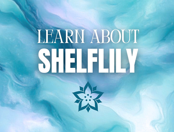 ShelfLily: Effortless Organization Without QR Codes