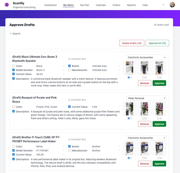The Approve Drafts page showing AI-recognized items with descriptions, values, and photos ready for review