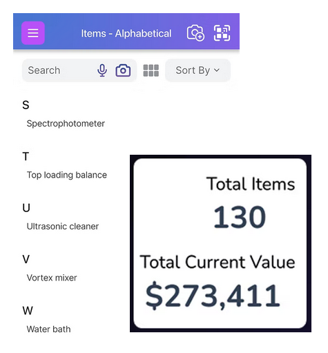 List of items on the item screen with callout box showing the total items and total current value