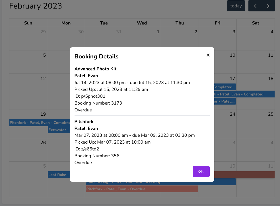 Pop up showing two overdue items along with their booking details